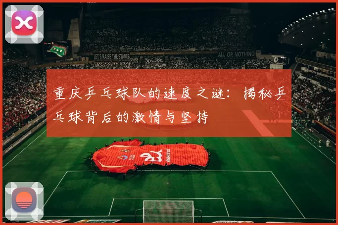 重庆乒乓球队的速度之谜：揭秘乒乓球背后的激情与坚持