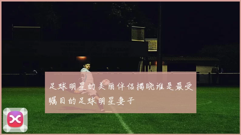 足球明星的美丽伴侣揭晓谁是最受瞩目的足球明星妻子