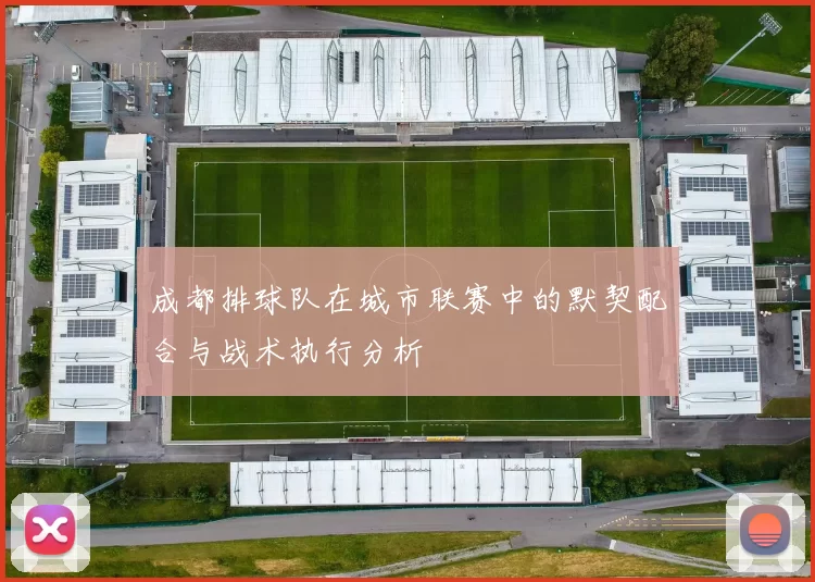 成都排球队在城市联赛中的默契配合与战术执行分析