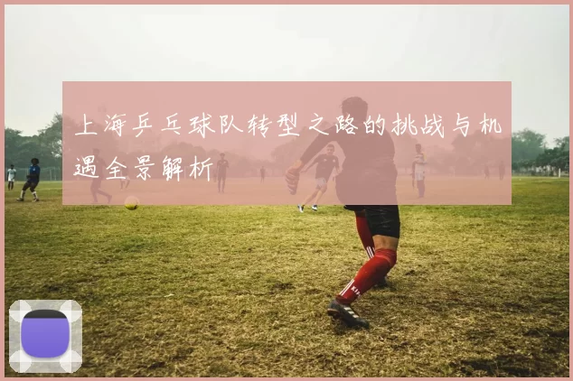 上海乒乓球队转型之路的挑战与机遇全景解析