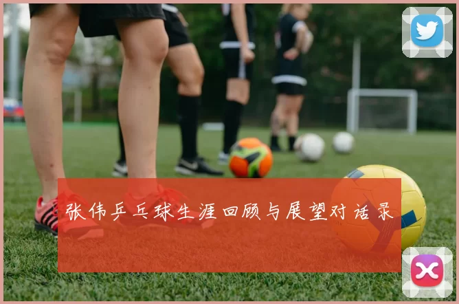 张伟乒乓球生涯回顾与展望对话录