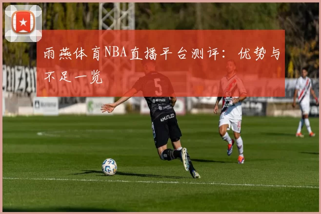 雨燕体育NBA直播平台测评：优势与不足一览