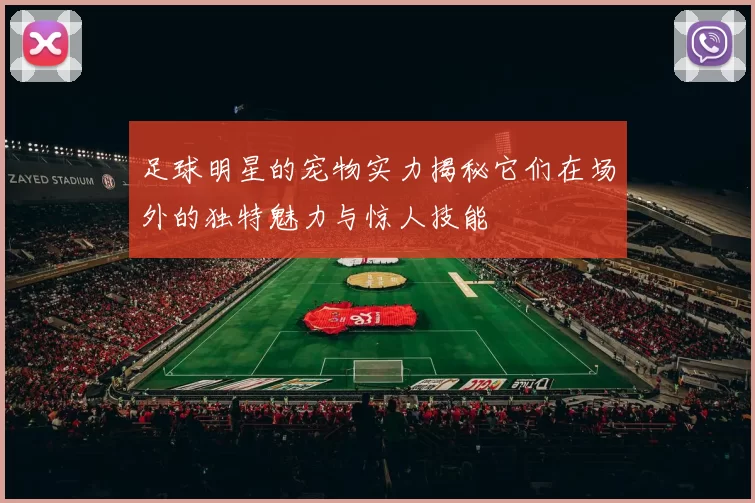 足球明星的宠物实力揭秘它们在场外的独特魅力与惊人技能