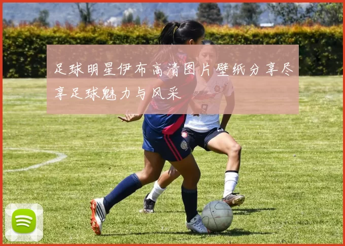 足球明星伊布高清图片壁纸分享尽享足球魅力与风采