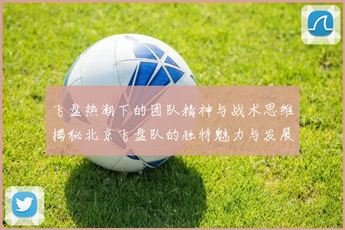 飞盘热潮下的团队精神与战术思维揭秘北京飞盘队的独特魅力与发展之路