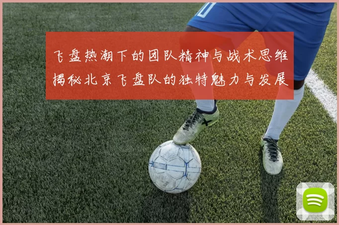 飞盘热潮下的团队精神与战术思维揭秘北京飞盘队的独特魅力与发展之路