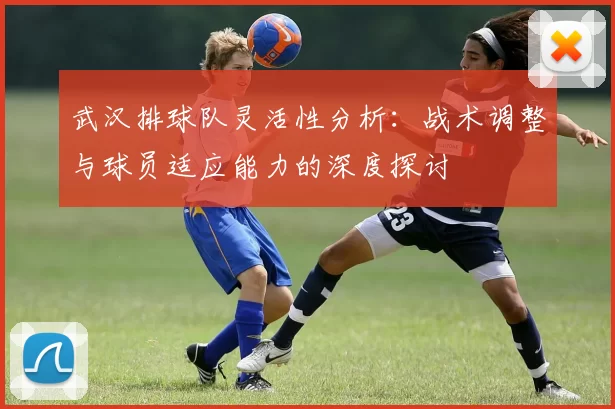 武汉排球队灵活性分析：战术调整与球员适应能力的深度探讨
