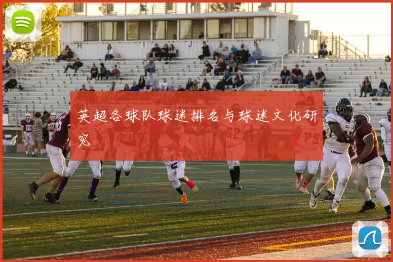 英超各球队球迷排名与球迷文化研究