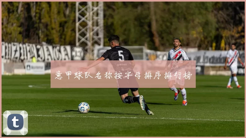 意甲球队名称按字母排序排行榜