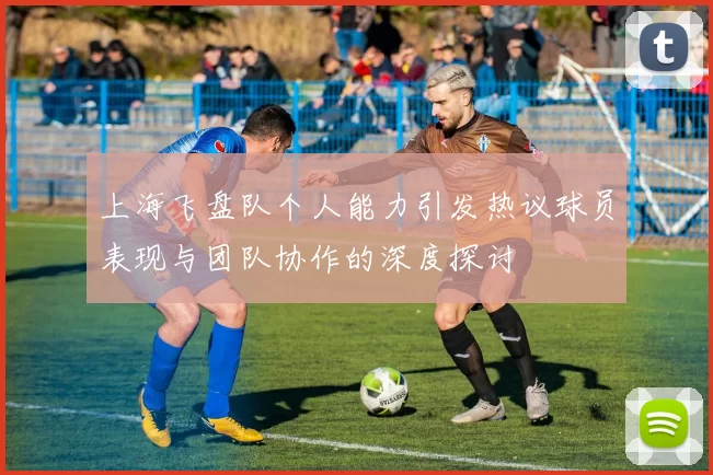 上海飞盘队个人能力引发热议球员表现与团队协作的深度探讨