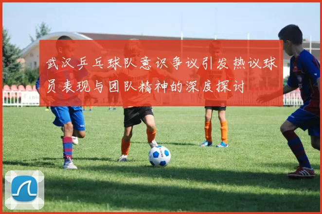 武汉乒乓球队意识争议引发热议球员表现与团队精神的深度探讨