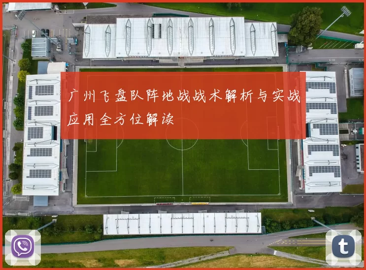 广州飞盘队阵地战战术解析与实战应用全方位解读